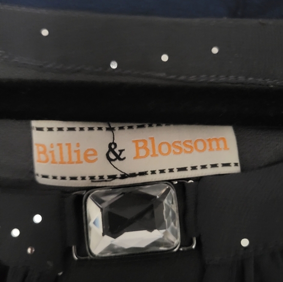 Billie & Blossom Gray Chiffon Lined Sparkle Blouse L/XL - Picture 8 of 9